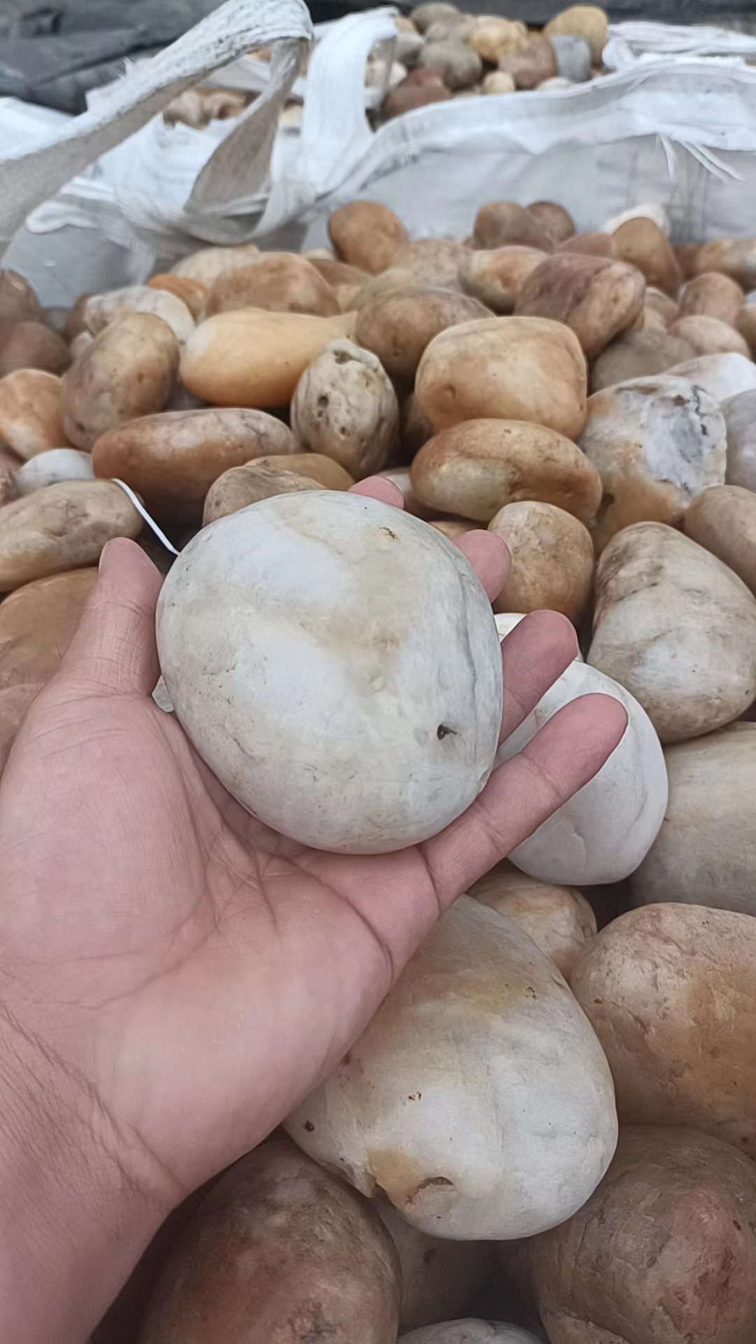 孝感鹅卵石